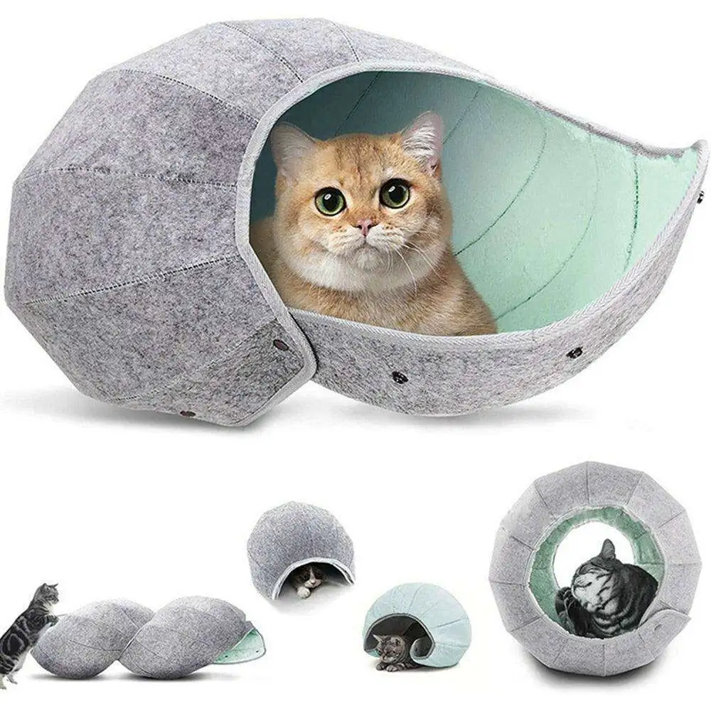 Cozy Conch Home Furniture