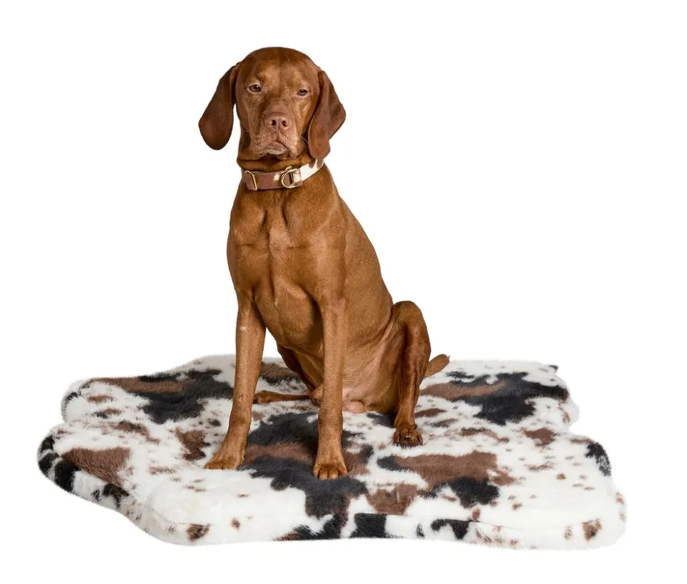 Plush Simple Versatile Pet Bed