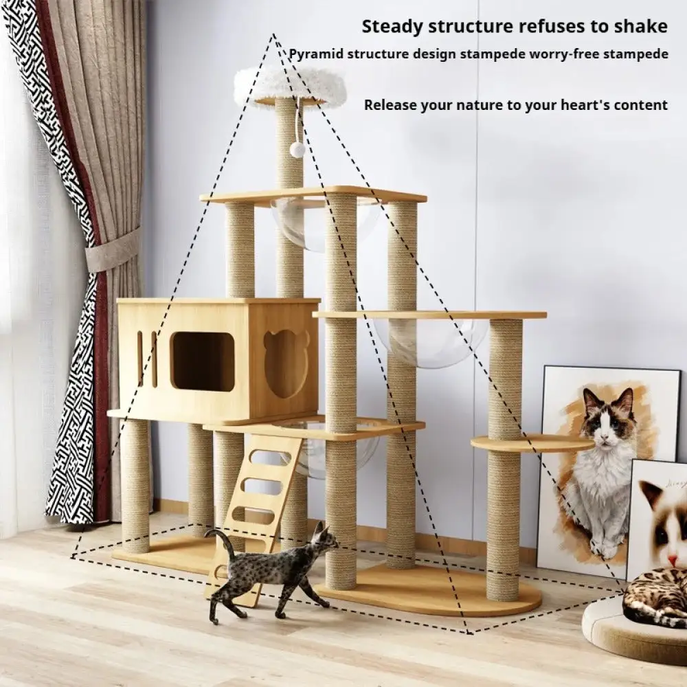 Comfortable Cat Climbing Tree Wood