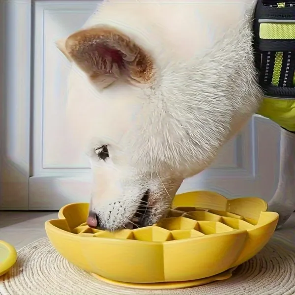 Dog Sunflower Slow Feeder Bowl