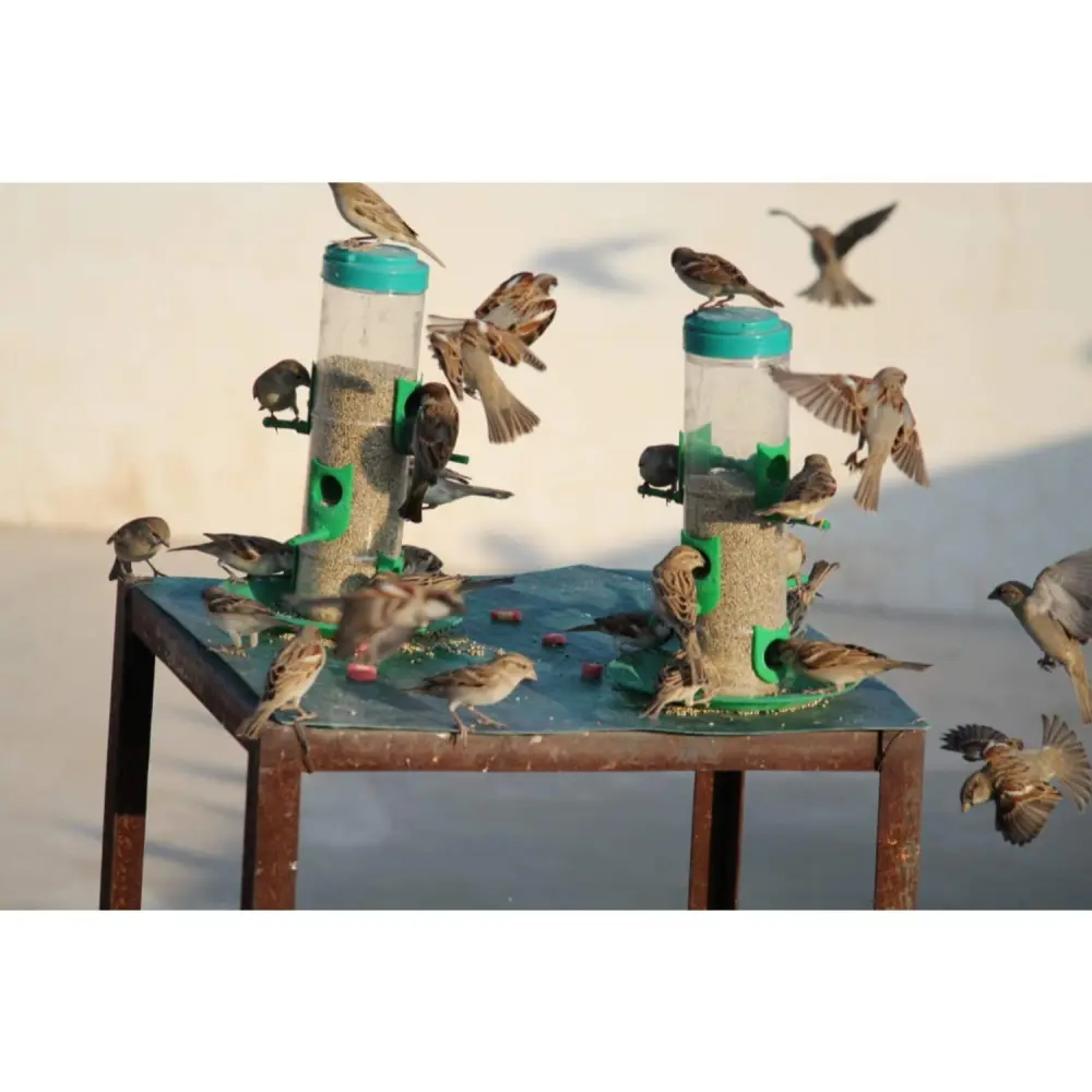 Bird feeder
