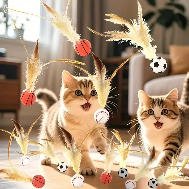 Cat Feather Sports Ball Toy