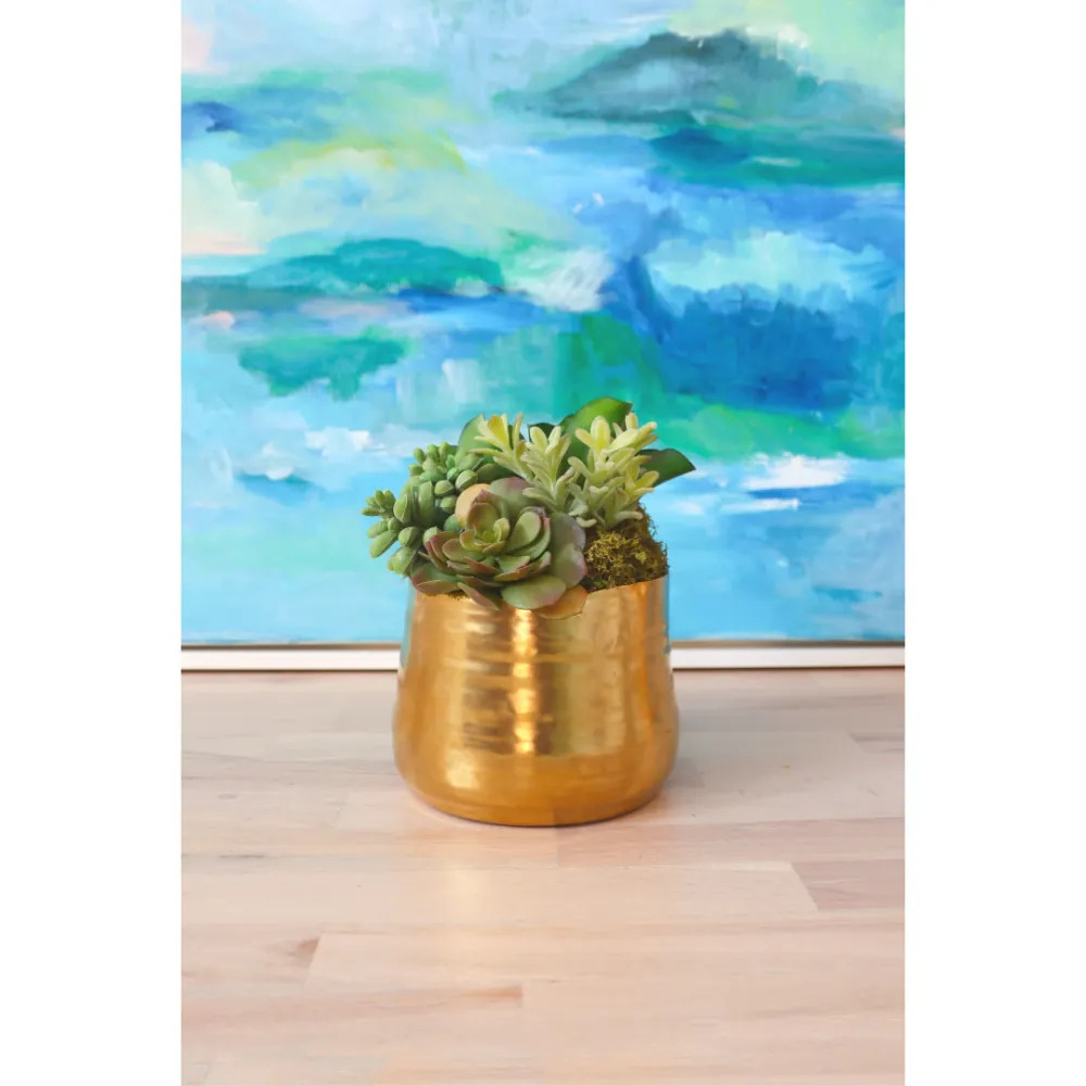 Succulent Moss Pot Arrangement