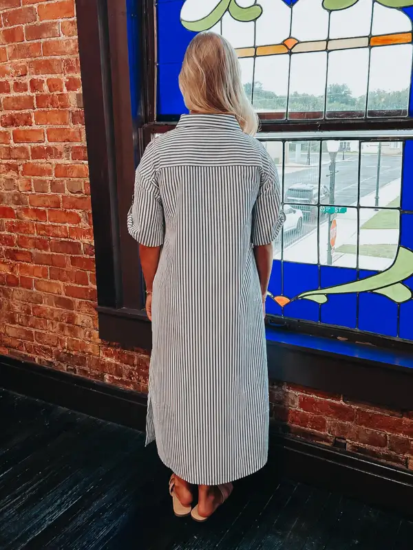 Striped Animal Print Collared Dress