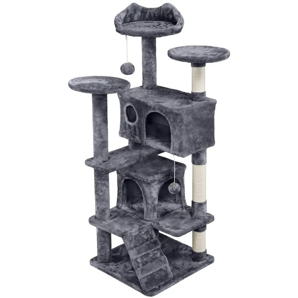 Comfortable Cat Climbing Tree