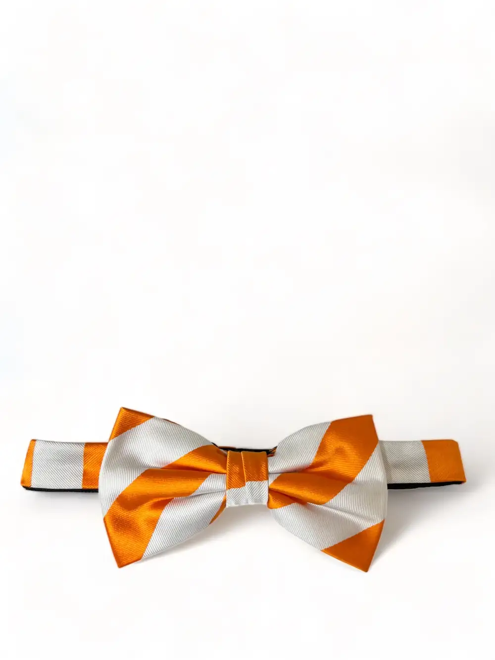 Cultivated Striped Silk Bow Tie Set