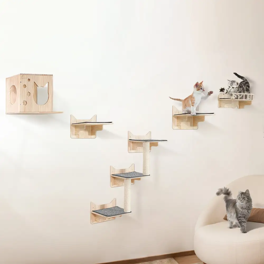 Wall Mounted Cat Shelves