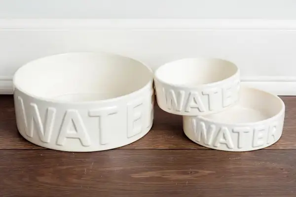 Classic Pet Water Bowl
