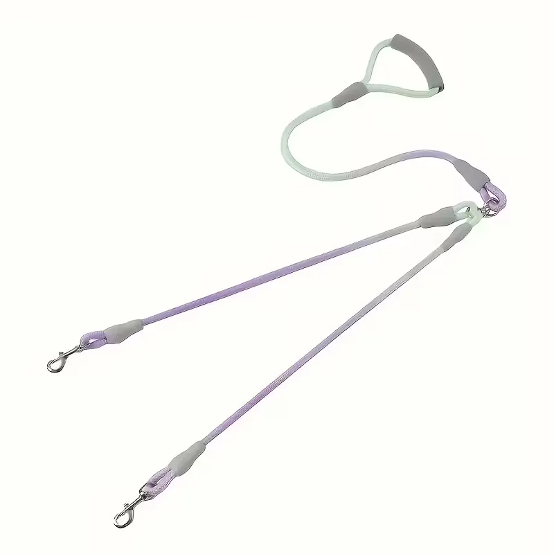 Stylish Gradient Dog Leash