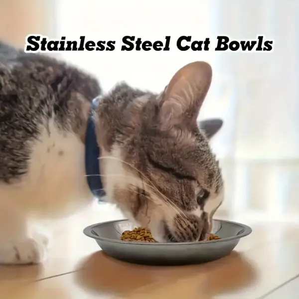 Set of 5 Stainless Steel Cat Bowls