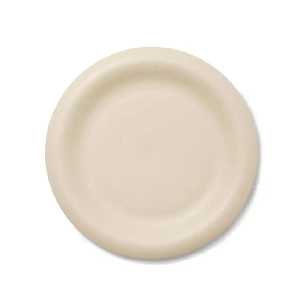 Everyday Dining Plate for Snack Serving