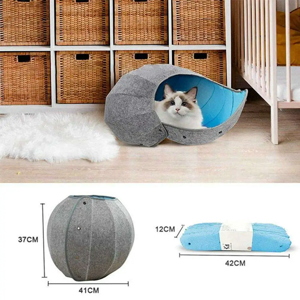 Cozy Conch Home Furniture