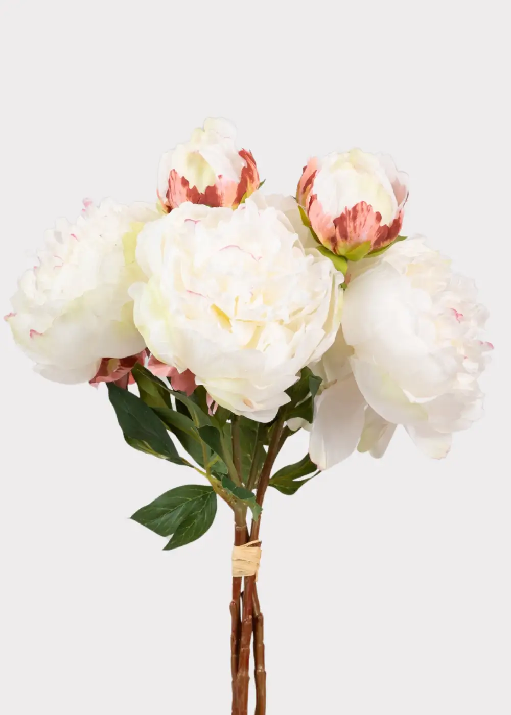 Artificial Peony Peonies Bundle