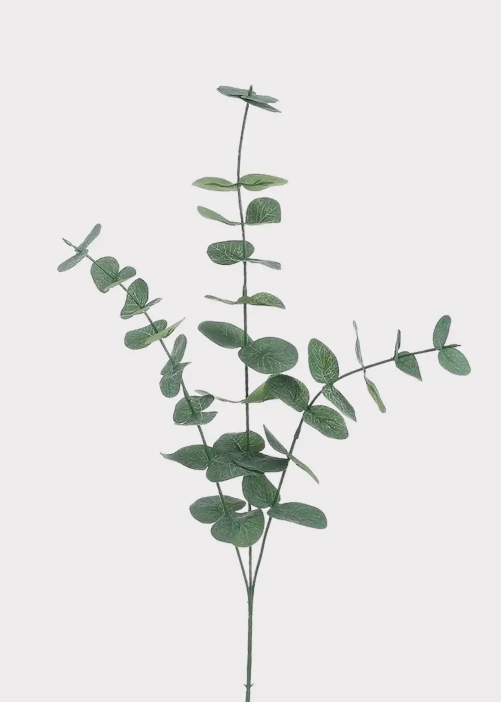 Artificial Spiral Eucalyptus Branch