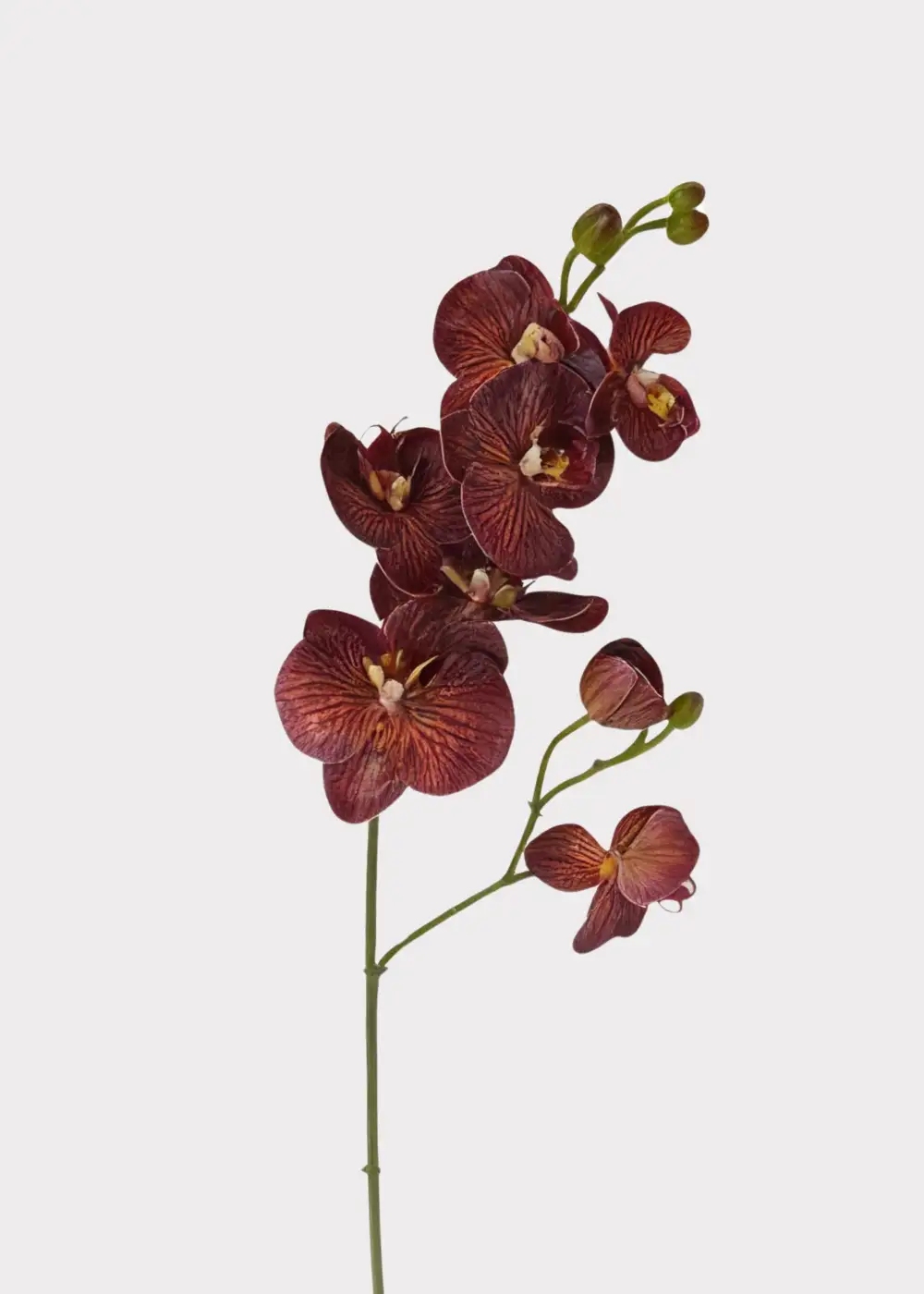 Artificial Phalaenopsis Orchid Floral Stem