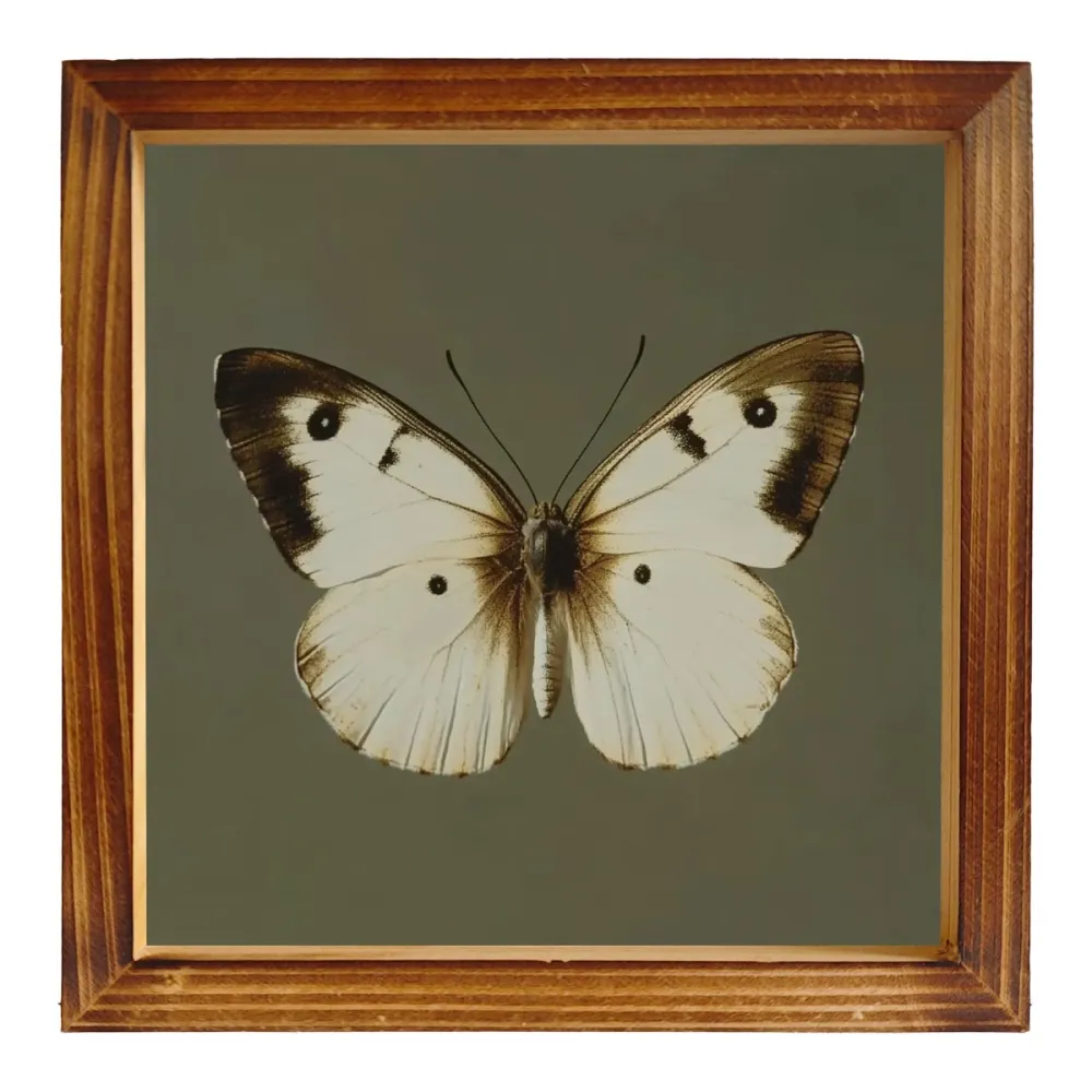 Butterfly Print Wooden Frame Art