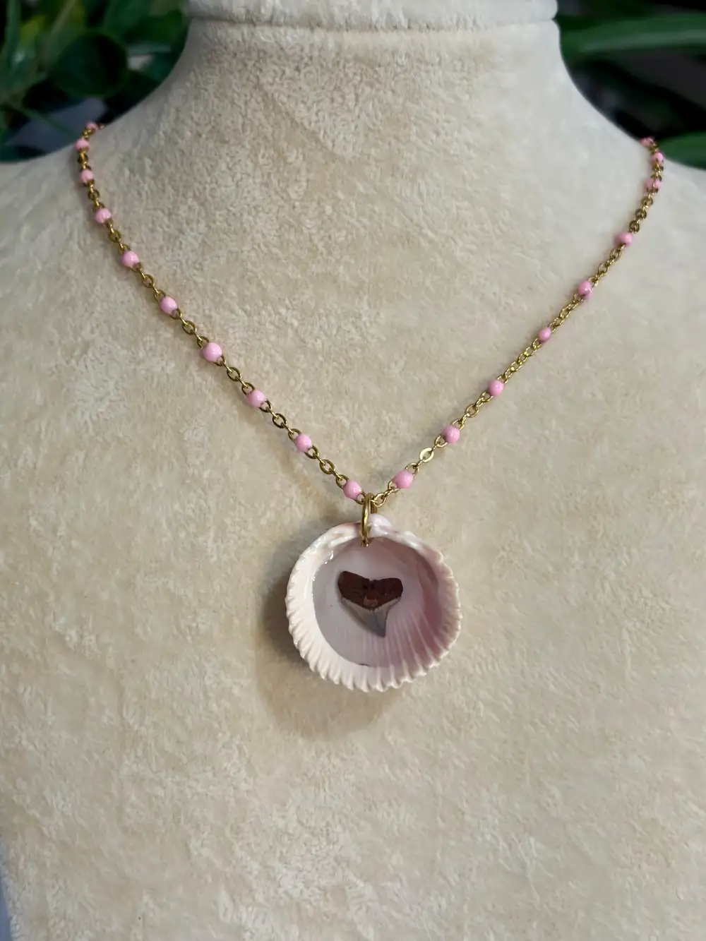 Shell And Shark Tooth Necklace