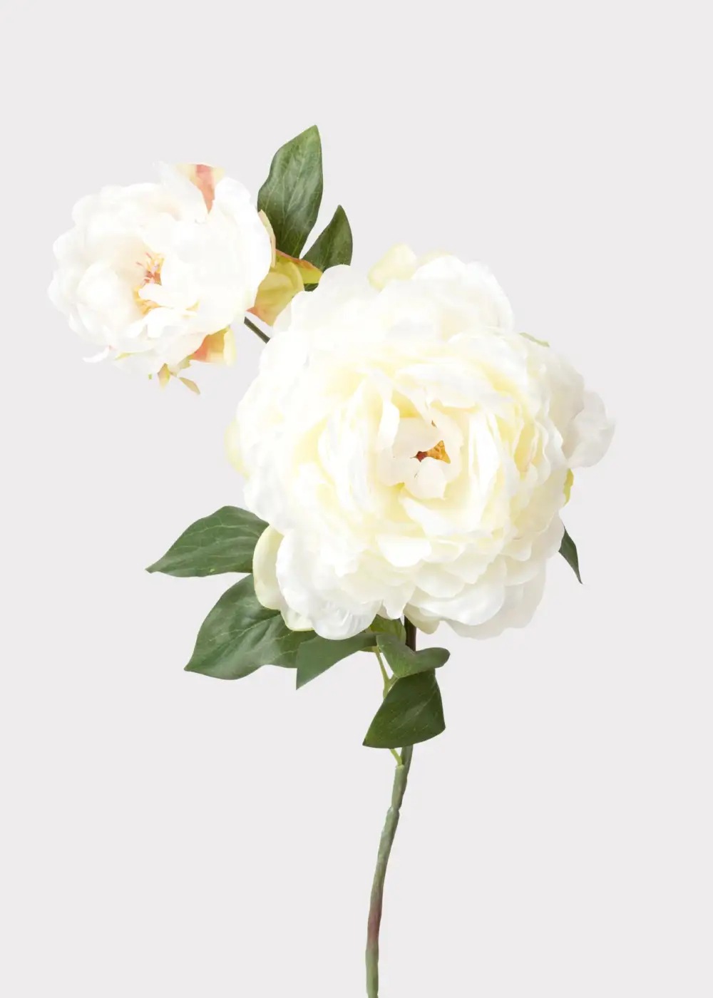 Artificial Peony Bud Floral Stem