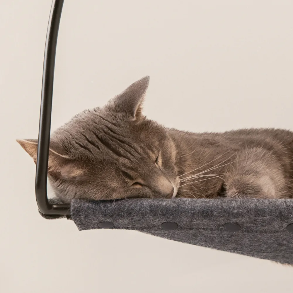 Window Rest Cat Hammock