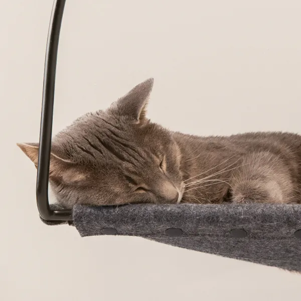 Window Rest Cat Hammock