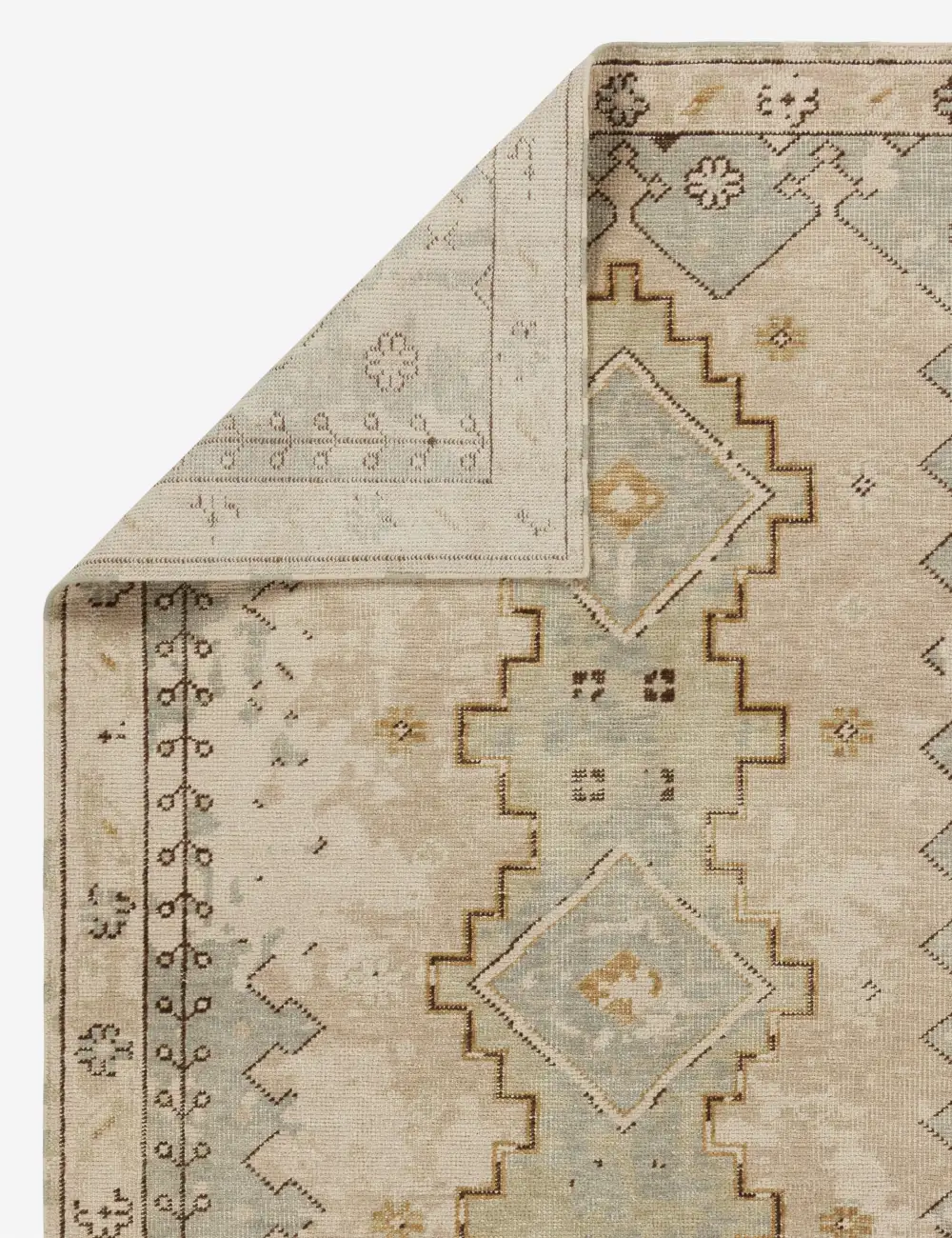 Soft Traditional Motif Hand Knotted Wool Area Rug