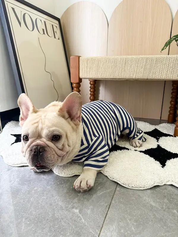 Everyday Pet Jumpsuit