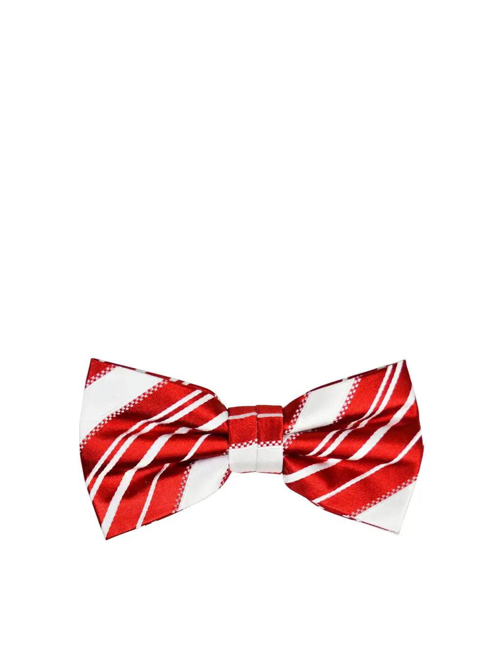 Graceful Striped Silk Bow Tie Set
