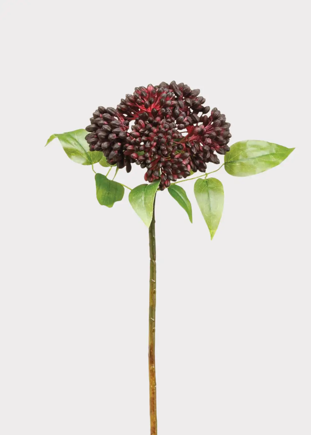 Artificial Sedum Succulent