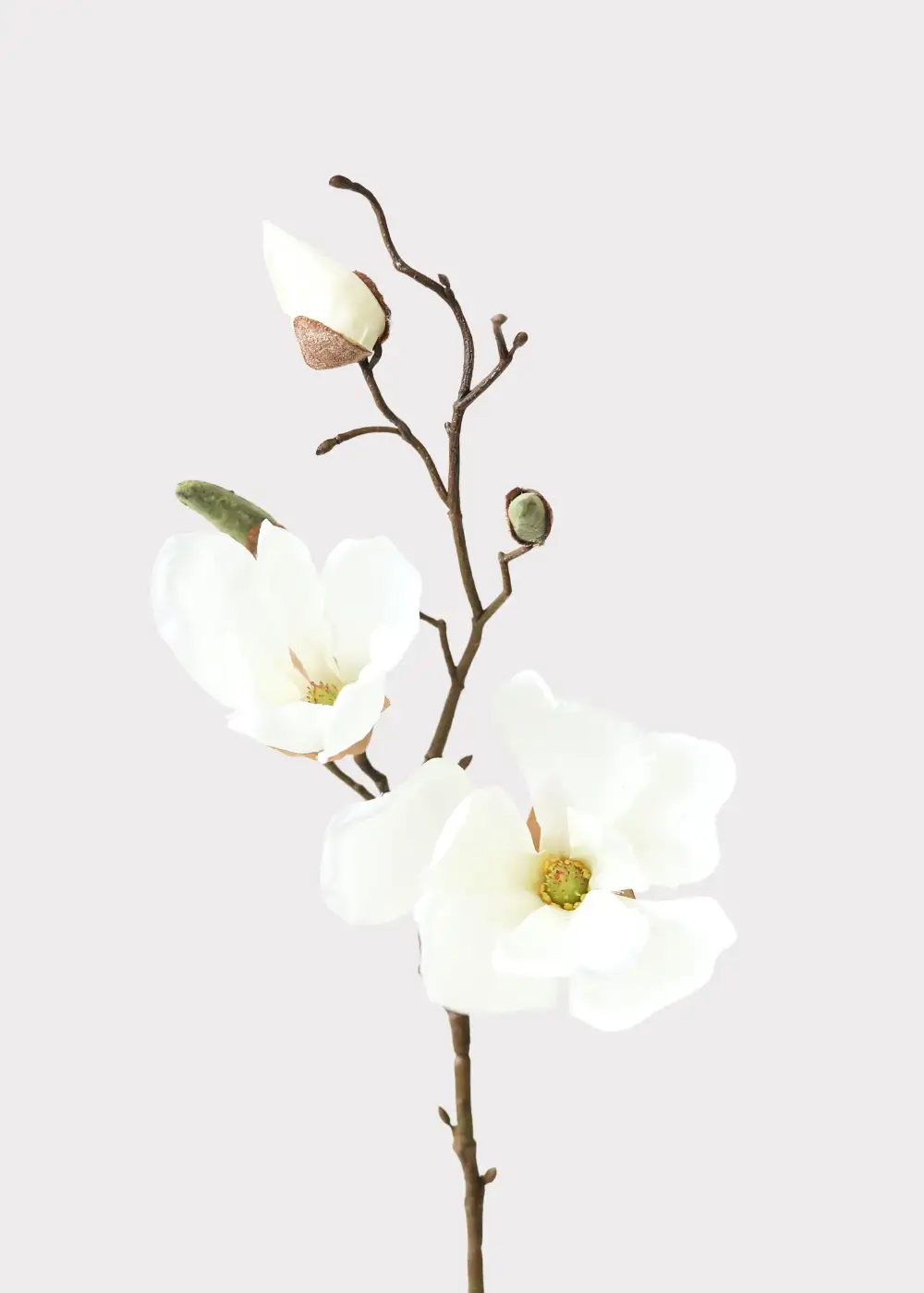 Artificial Fresh Form Magnolia Stem