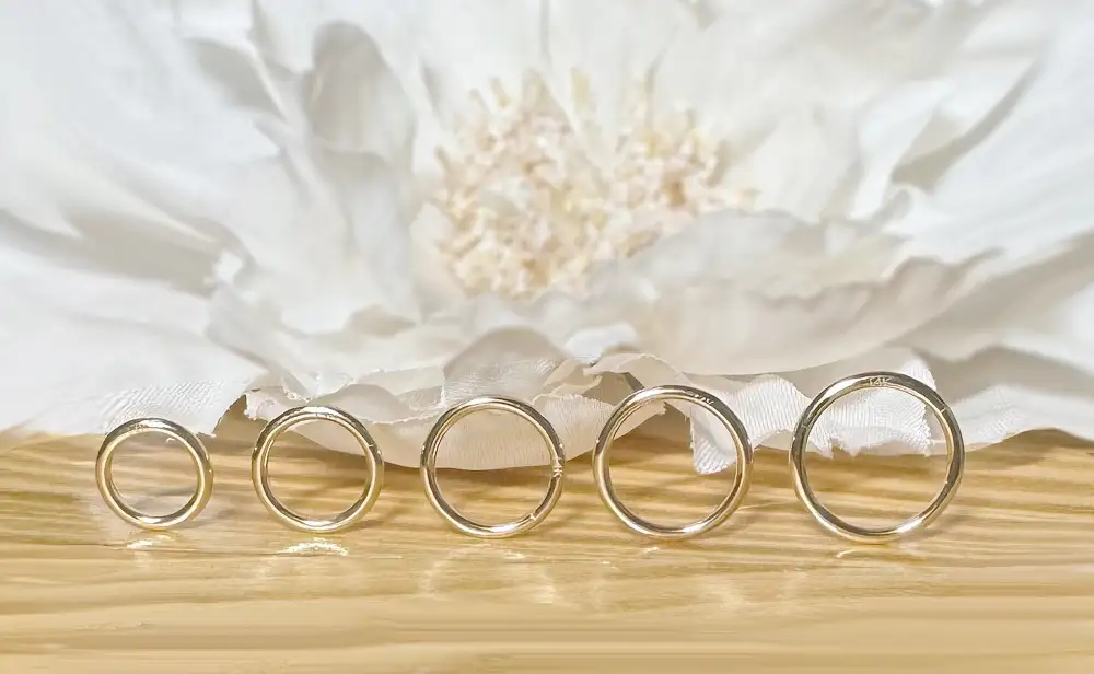 Hinged Seamless Nose Hoop