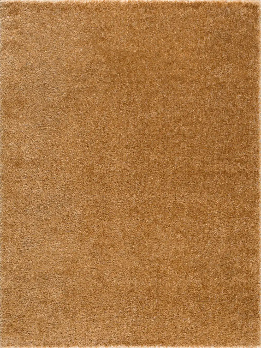 Contemporary Area Rug Floor Decor