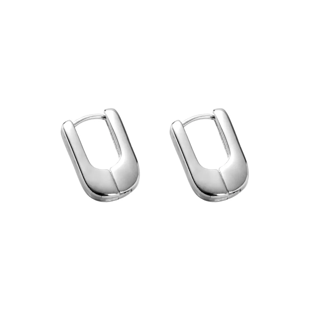 Luminous Echo Earrings