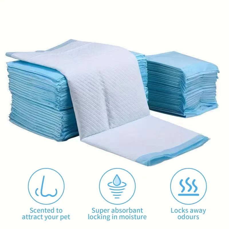 Absorbent Dog Pads for Dog Training