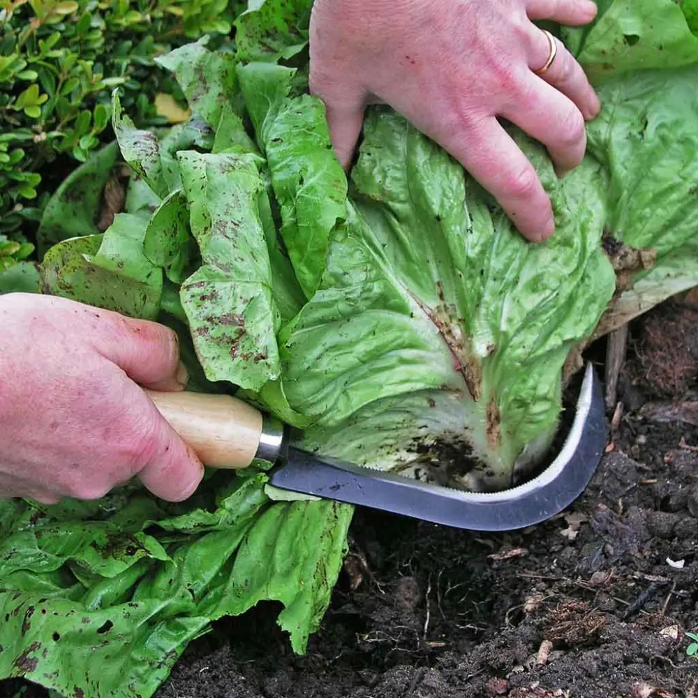 Vegetable Harvesting Garden Knife