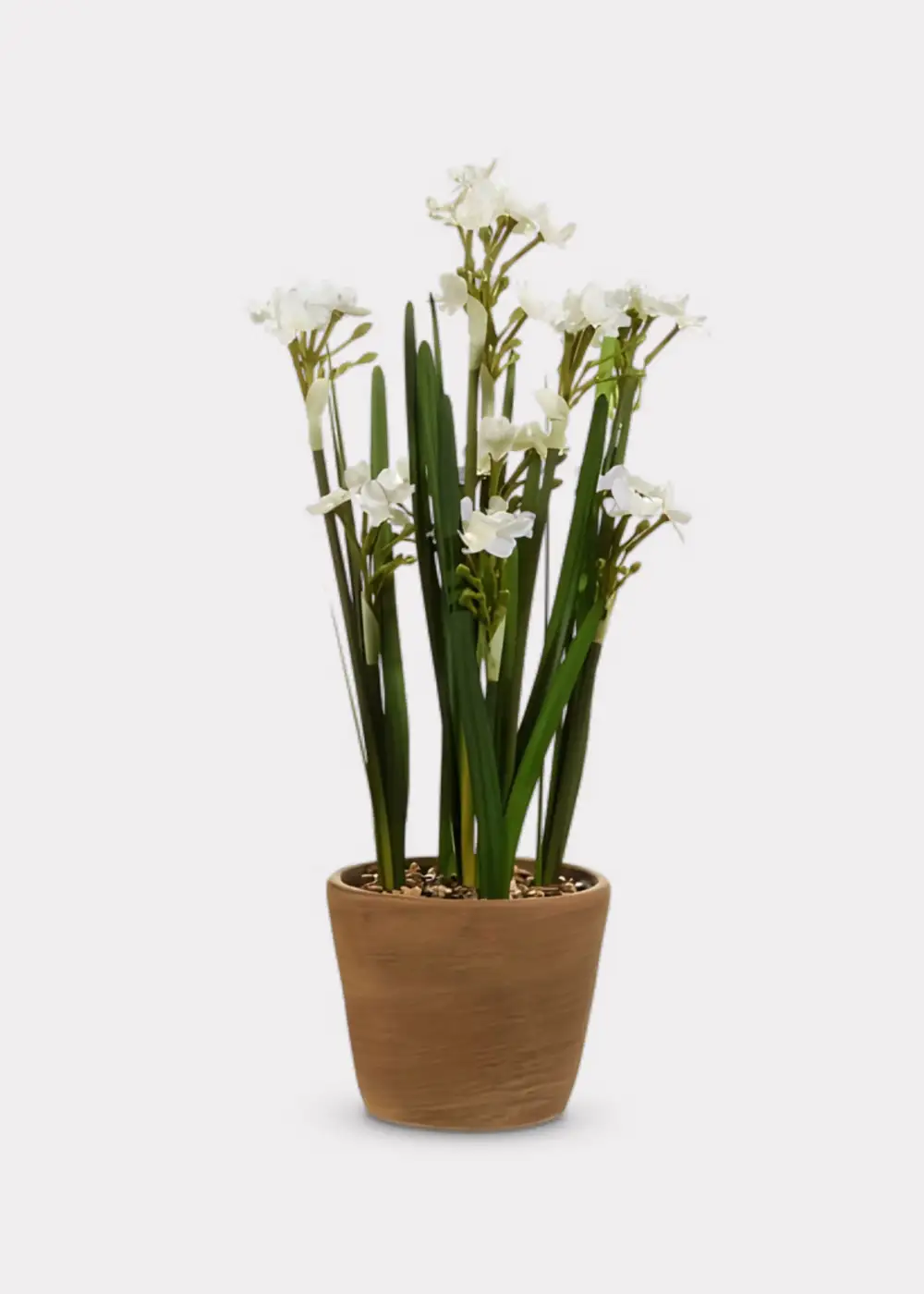 Artificial Potted Paperwhite Arrangement