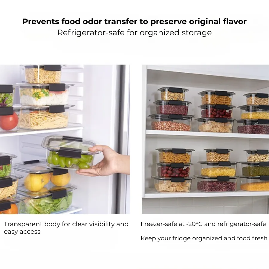 Daily Meal Prep Container