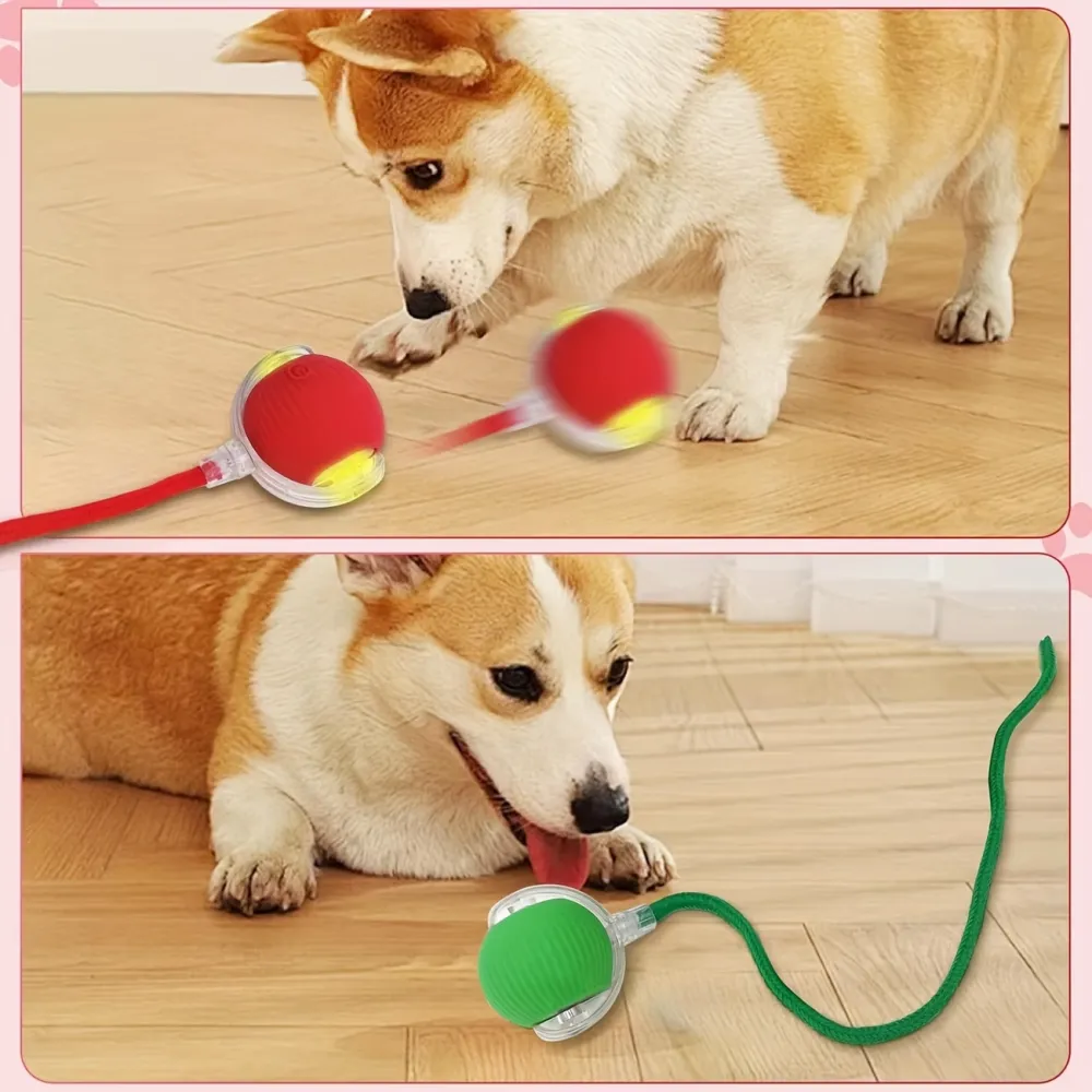 3Pcs Interactive Pet Ball Toy