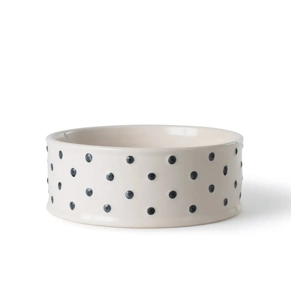 Raised Handy Lightweight Pet Bowl
