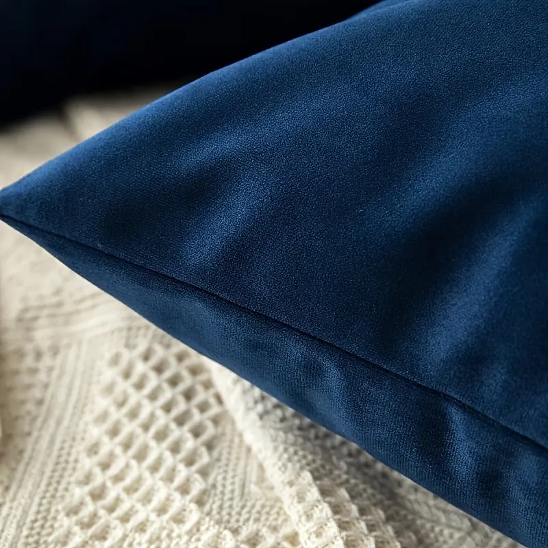 2 Pcs Velvet Throw Pillow