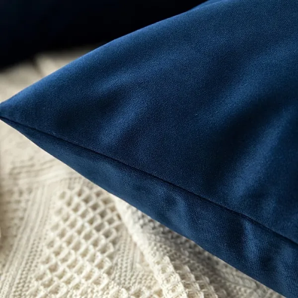 2 Pcs Velvet Throw Pillow