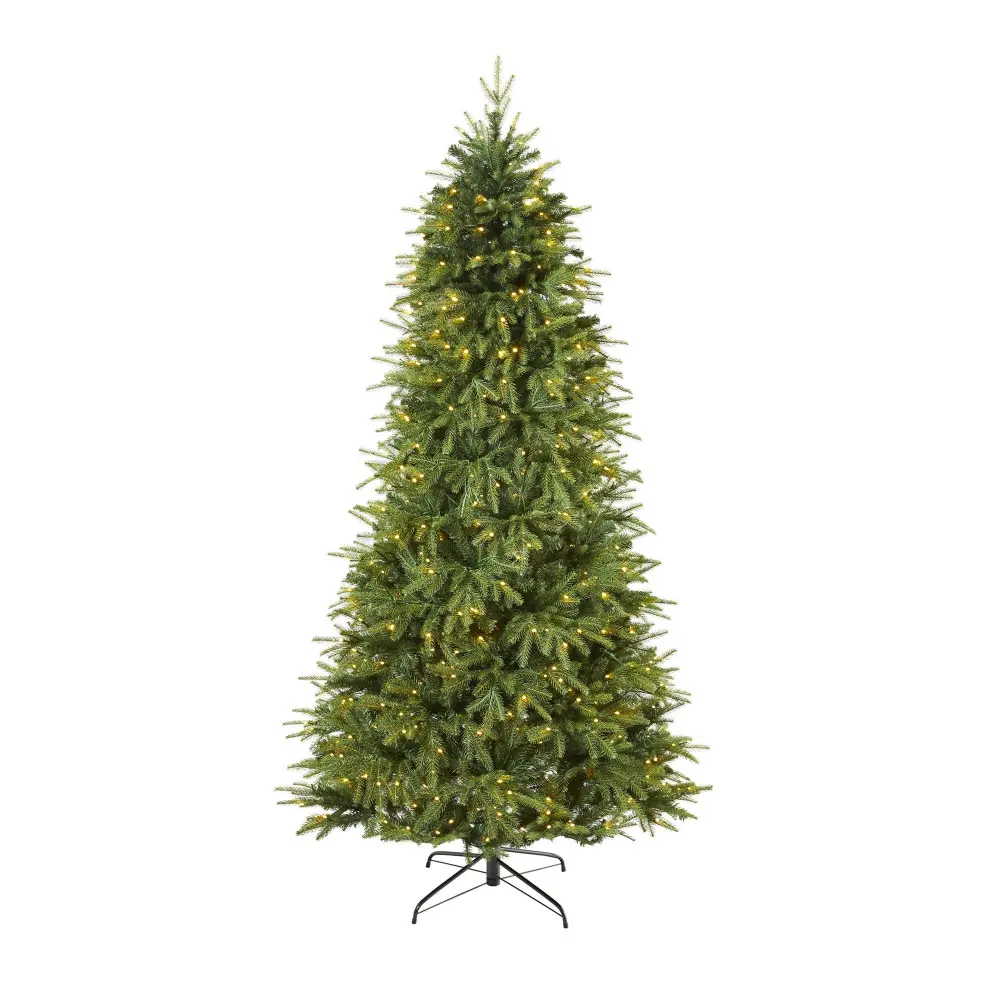 Vancouver Fir 
