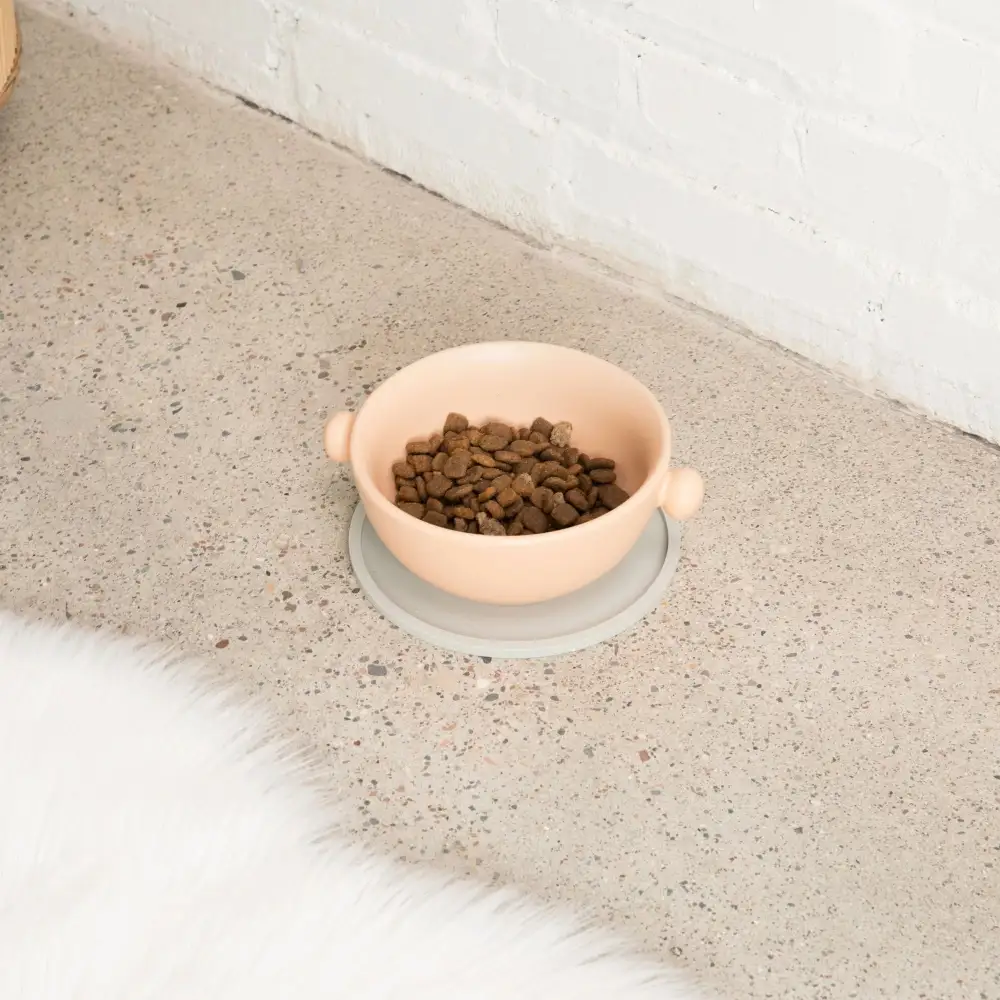 Round Pet Feeding Placemat Set