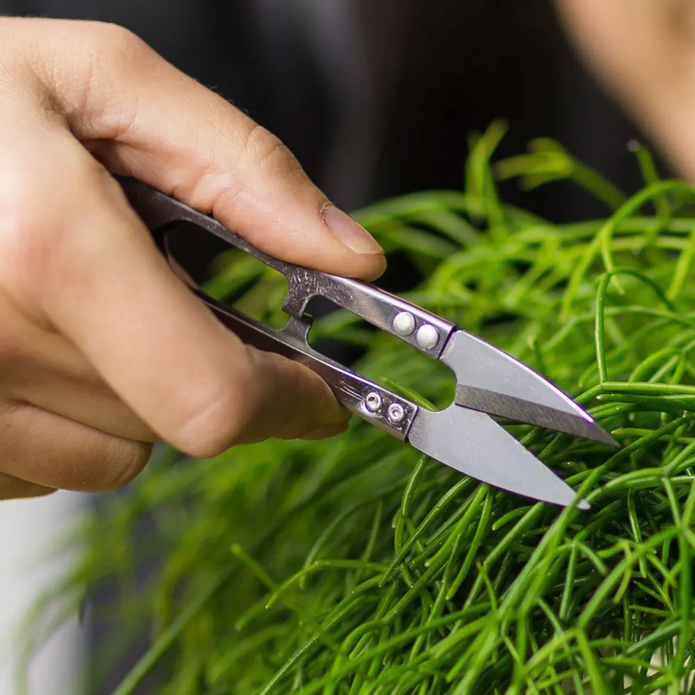 Herb Harvesting Garden Snips