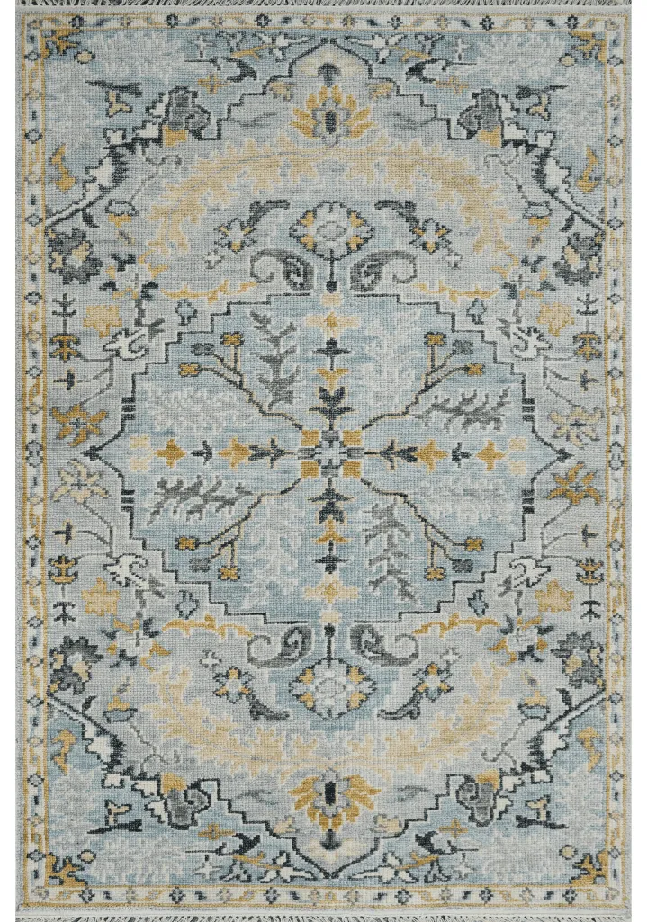 Hand Knotted Medallion Bordered Wool Area Rug