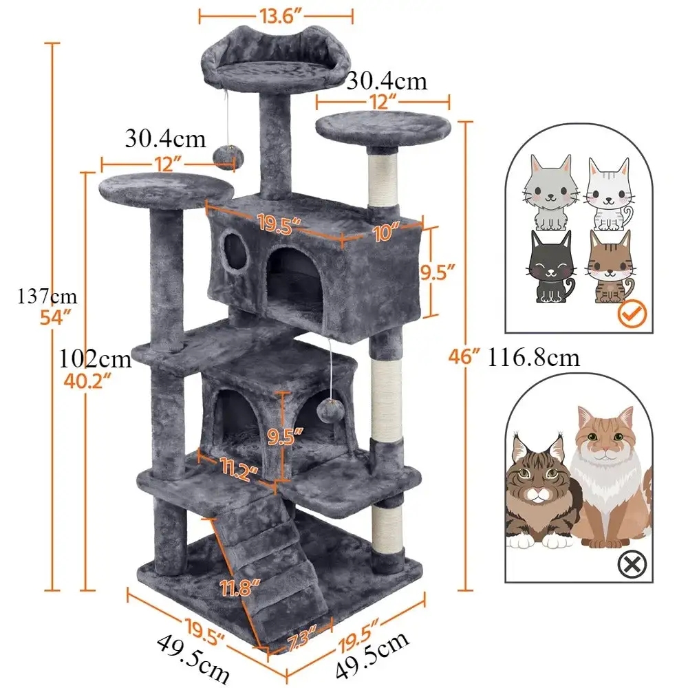 Comfortable Cat Climbing Tree