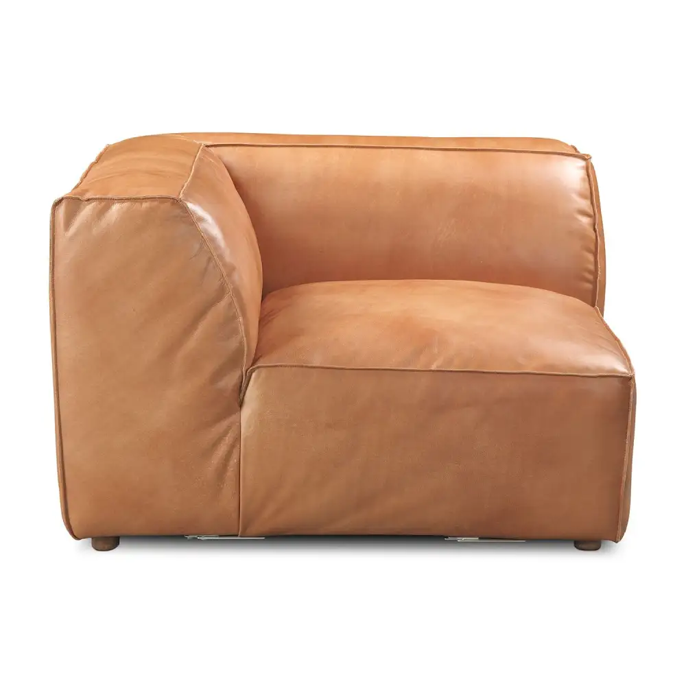Modern Leather Lounge Chair