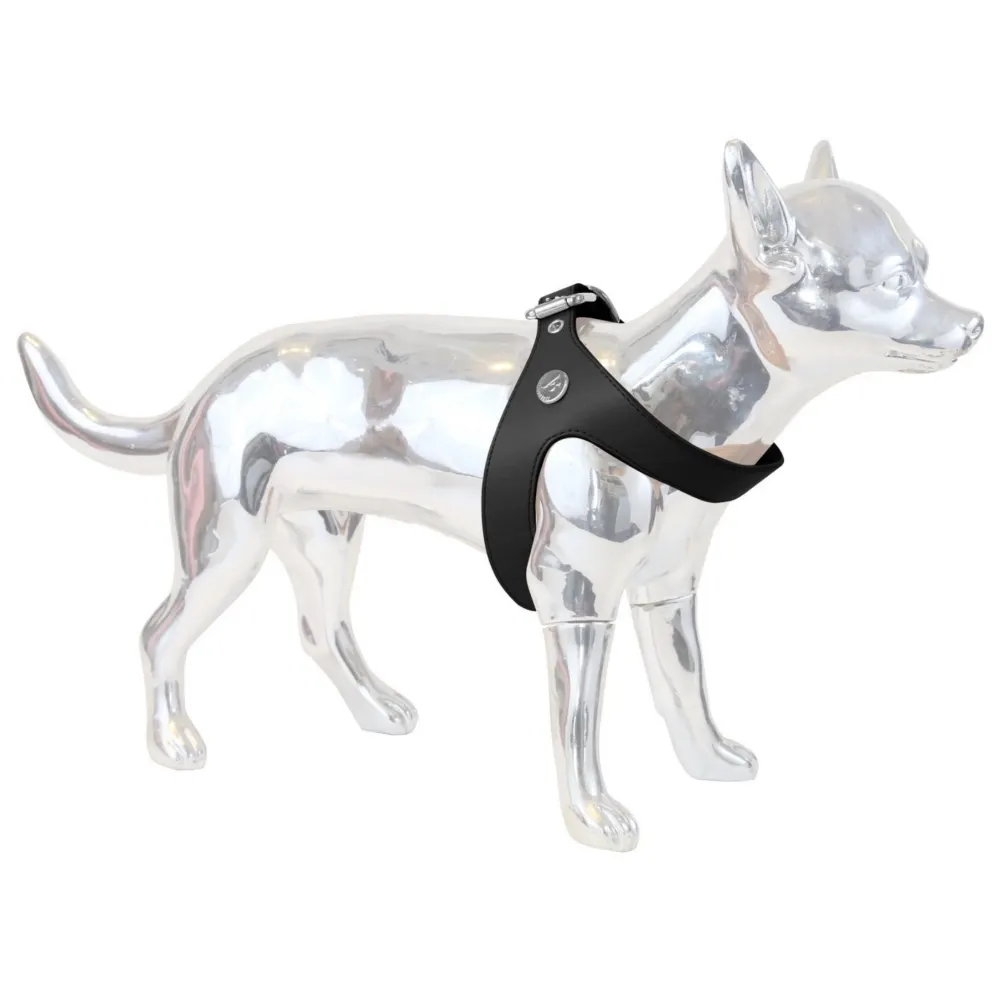 Minimal Polished Dog Harness