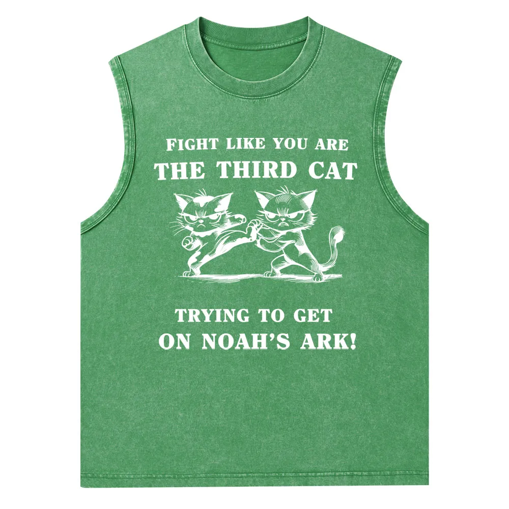Fight Like You Are The Third Cat Trying To Get On Noah's Ark Christian Washed Tank Top