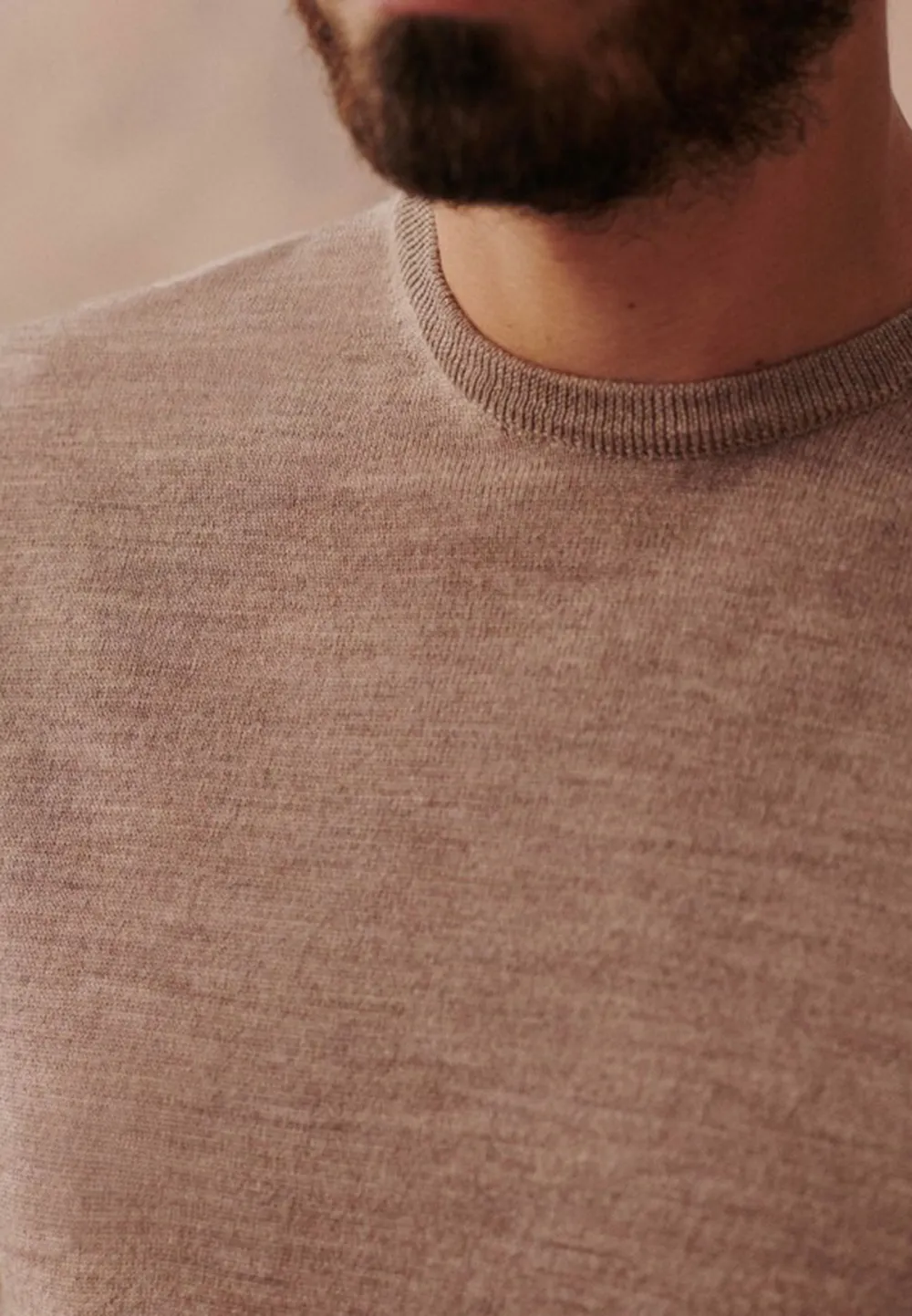 Beige Solid Knit Crew Neck Sweater