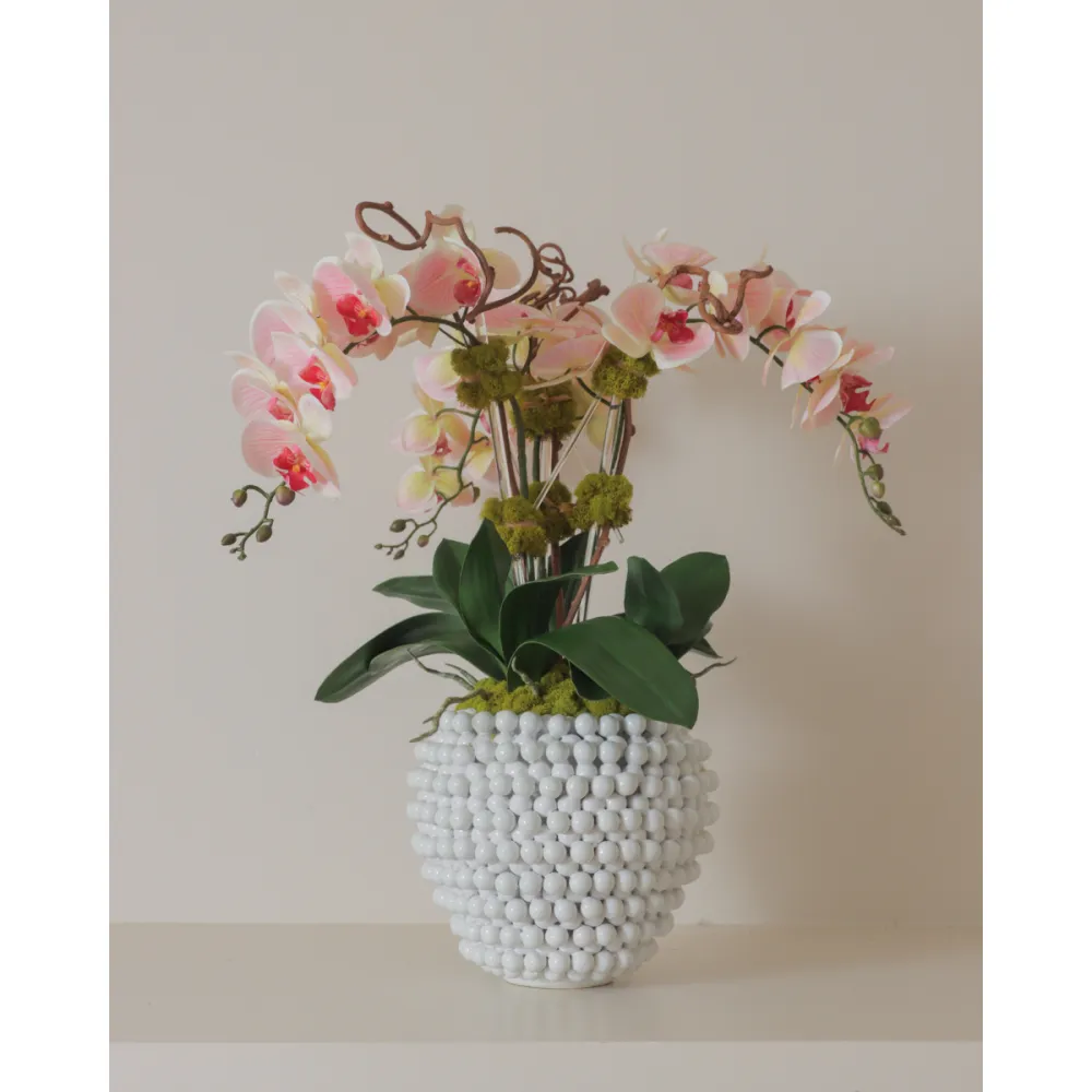 Pom-Pom Pot Orchid Arrangement